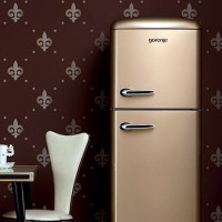 Gorenje refrigerators: review of the range + what to look for before buying