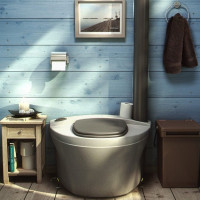 Antiseptic for a toilet in the country: a review of chemicals and bioactivators