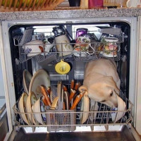 Mit lehet mosni és mit nem lehet mosni mosogatógépben: különféle anyagokból készült mosogatás tulajdonságai