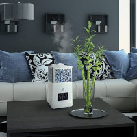 Silent humidifiers for the home: TOP-10 rating of the quietest units