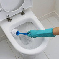 Kā tīrīt kaļķa tualeti: efektīvi ķīmiskie un tautas līdzekļi
