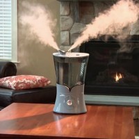 What to do if a humidifier is leaking: find the cause and recommendations for fixing the leak