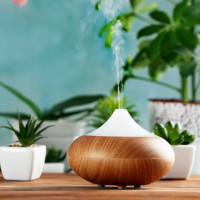 Which humidifier is better - steam or ultrasonic? Compare two types of humidifiers