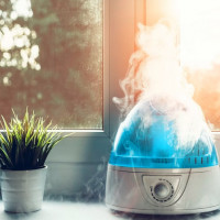 Skadan och fördelarna med luftfuktaren: argumenten för och mot användning av apparater i lägenheten