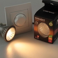 Dimbara LED-glödlampor: urvalstips, en översikt över de bästa tillverkarna
