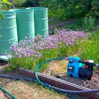 Hur man väljer en bra pump för att vattna trädgården med vatten från ett damm, fat eller damm