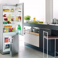 How to choose the best Nou Frost refrigerator: 15 best models + tips for customers
