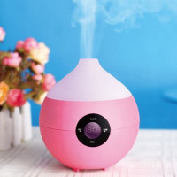How to choose a humidifier for an apartment: which humidifier is better and why
