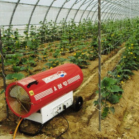 Do-it-yourself greenhouse heating system: the best ways to winter heat greenhouses