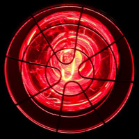 مصابيح الأشعة تحت الحمراء المنزلية: كيفية اختيار لمبة IR + مراجعة لأفضل الشركات المصنعة