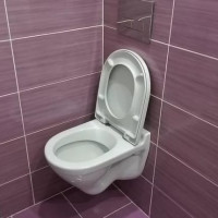Jak wybrać wiszącą toaletę: co jest lepsze i dlaczego + przegląd producentów