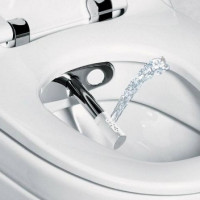 Lid for a bidet for a toilet: types, description of the principle of work and tips for choosing