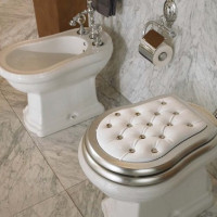Lid for toilet: varieties, selection tips, installation instructions