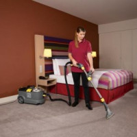 Vitek vacuum cleaners: an overview of the best models on the market and recommendations to potential customers