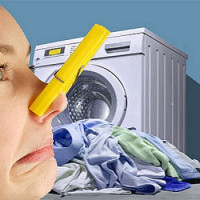 Kā mājās atbrīvoties no pelējuma veļas mašīnā ar improvizētiem līdzekļiem