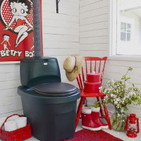 Which dry closet is better: liquid or composting? What to buy: peat or chemical option