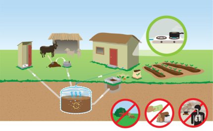 Få biogas från gödsel