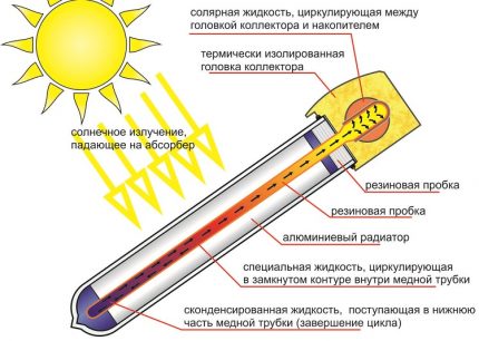 Güneş kolektörü ısı borusu