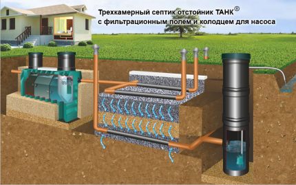 Installation scheme for septic tanks for poorly absorbing soils