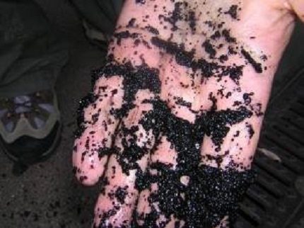Appearance of activated sludge