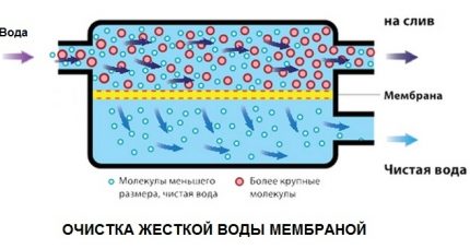 Retention of impurities by the pores of the membrane