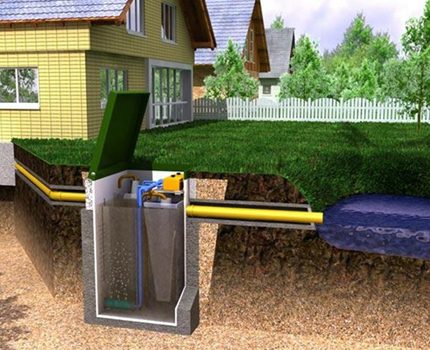 Water discharged from a septic tank is safe