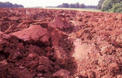 Clay type soil