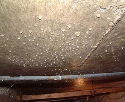 Condensate on the ceiling of the cellar