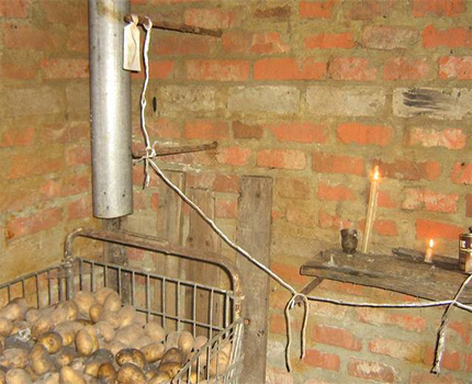 Pommes de terre mouillées dans la cave sous le capot