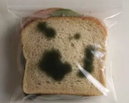 Black mold on bread