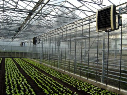 VOLCANO air heater in the greenhouse