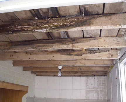Rotting of wooden roof elements