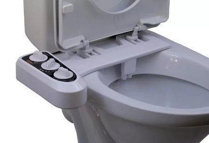 Garniture de bidet pour toilettes