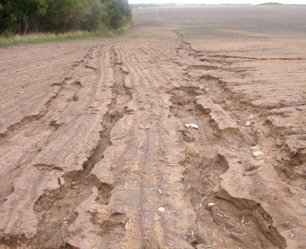 Land affected by water erosion