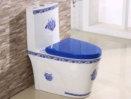 Porcelain toilet in the house