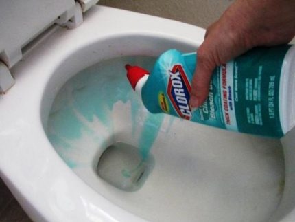 Cleaning the toilet