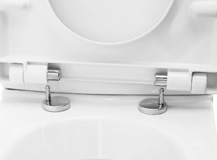 Photo of toilet seat assembly