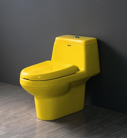 Acrylic toilet