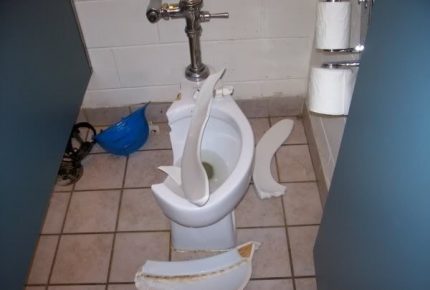 The toilet crashed