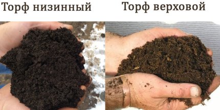 Difference between lowland peat and highland