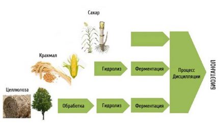 Componenta principală a biocombustibilului este alcoolul