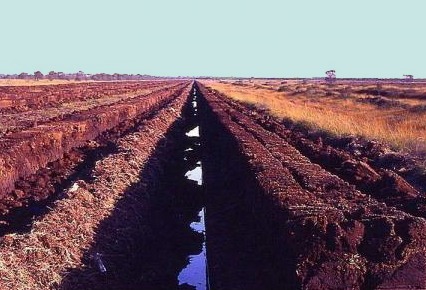 Peat extraction in the swamps