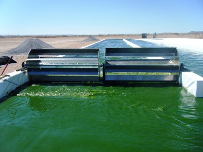 La producción de biohidrógeno a partir de algas.