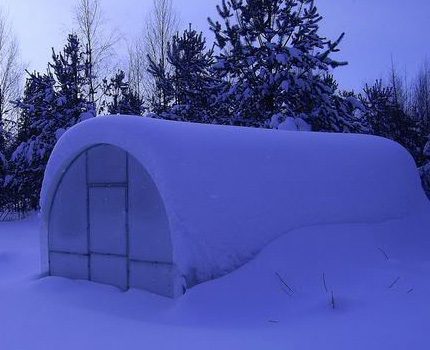 Hivernacle cobert de neu
