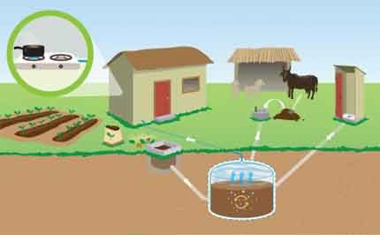 Biofuel from manure
