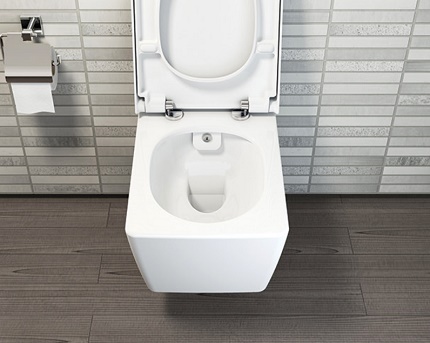 Toilet bidet without flush rim