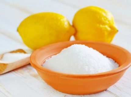 Kyselina citronová pro čištění filtru