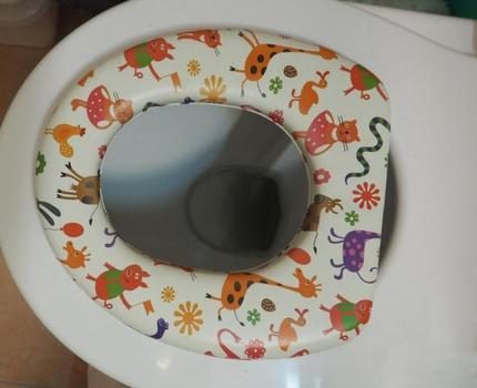 Padded toilet seat