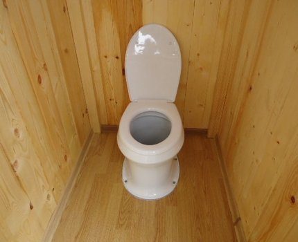 Plastic toilet seat
