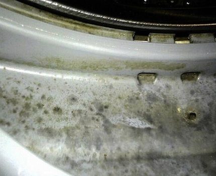 Molde de colonia en el puño de una lavadora